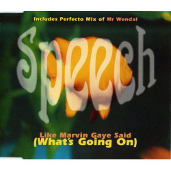 Arrested Development - Mr Wendal (Perfecto mix) / Like Marvin Gaye said (3 mixes)