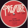 Levine - Need You Around (Original / Club Mix) 12" Vinyl Record (Unplayed)