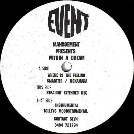 Within A Dream – Where Is The Feeling (Extended / Instrumental / Tolleys Moodstrumental) 12" Vinyl