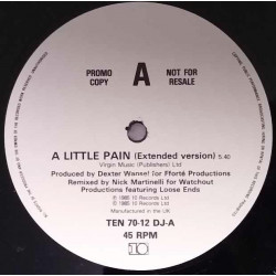 P P Arnold - A Little Pain (Extended / Instrumental) / Smile (12" Vinyl Promo)