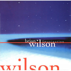 Brian Wilson - Imagination featuring Your imagination / She says that she needs me / South American / Where has love been / Keep