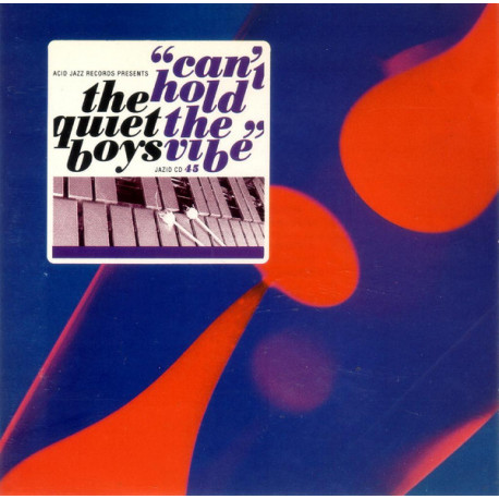 The Quiet Boys - Cant hold the vibe featuring Inside your mind / Let it go / Give it all u got / Make me say it again girl / Roa