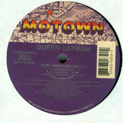 Queen Latifah - Just another day (LP Version / Inst / Acappella / 3 Teddy Riley Remixes) 12" Vinyl Record