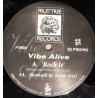Vibe Alive - Rock It (Original Mix / Acorn Arts Remix) 12" Vinyl Record
