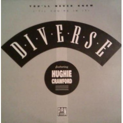 Diverse Feat Hughie Crawford - You'll Never Know (Club Mix / Radio Mix / Inst) 12" Vinyl Record