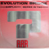 Evolution Bridge - Simplicity / Meree In Two (12" Vinyl Record)