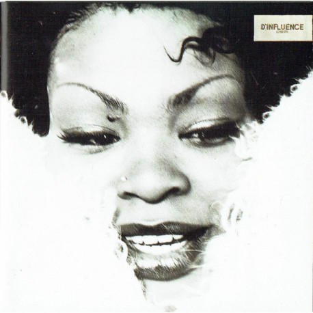 D Influence - 2 CD featuring Hypnotize / Goodlife / Shake it / Ive got my mind made up / Magic / Rock with you / Hold on / Good