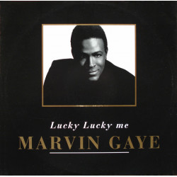 Marvin Gaye - Lucky Lucky Me (6 Remixes By Ray Hayden of Opaz) 12" Vinyl Record