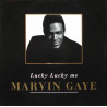 Marvin Gaye - Lucky Lucky Me (6 Remixes By Ray Hayden of Opaz) 12" Vinyl Record