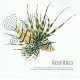 (CD) Various Artists - Real Ibiza featuring Superstars Of Rock - Orange sunshine / Krystal - Would you like to seduce me