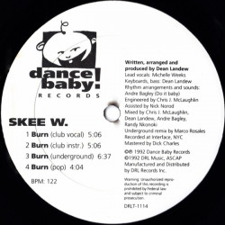 Skee W - Burn (Club Vocal / Club Inst / Underground Mix / Pop Mix) 12" Vinyl Record