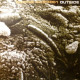 Outside - Finding ALH84001 (LP Version / Pianoscape / Live On Mars Remix / Mars Beats) 12" Vinyl