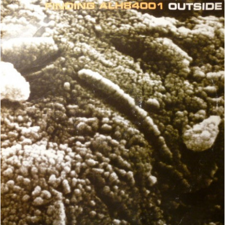 Outside - Finding ALH84001 (LP Version / Pianoscape / Live On Mars Remix / Mars Beats) 12" Vinyl