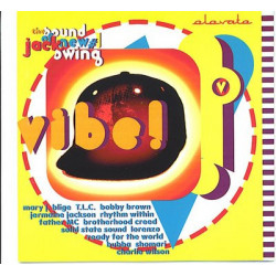 Various Artists - Vibe featuring Mary J Blige - Love no limit / Charlie Wilson - Realize / Bobby Brown - Thats the way love is /