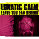 Lunatic Calm - Leave you far behind (Original / Lunatics Rollercoaster Mix / Metropol Lunatics Soundscape Mix)