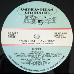 McGee - Now That I Have You (2 Mixes) Original Rare 12" Vinyl Single Still In Shrinkwrap