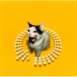 (CD) Twist This Pussy - A Continuous Twisted Beatmix By Peter Rauhofer