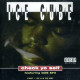(CD) Ice Cube - Check Yo Self (Radio Remix The message / Remix Instrumental) / 24 With A L / It Was A Good Day (CD1)