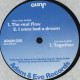 Juno - Together / The Real Flow / I Once Had A Dream (12" Vinyl Record)