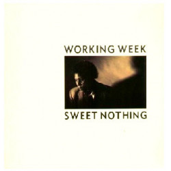 Working Week - Sweet Nothing (Vocal / Instrumental) / Whos Fooling Who (Dance Mix) 12" Vinyl Record
