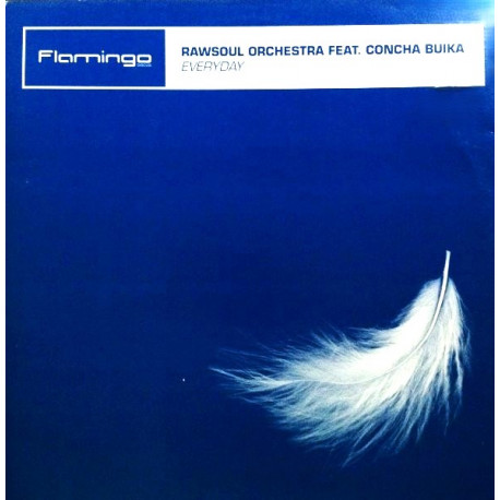 Rawsoul Orchestra Featuring Concha Buika - Everyday (Main Vocal / Beats / Guccimans Garito Style) 12" Vinyl Record