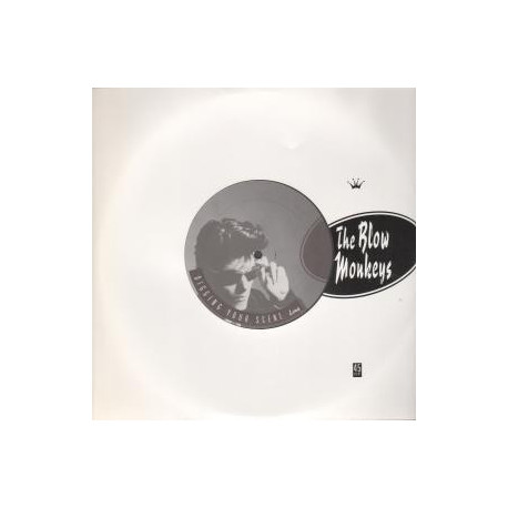 Blow Monkeys - Digging Your Scene (Long Version / Short Version) 12" Vinyl Promo