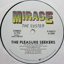 System - Pleasure Seekers (Long Vocal / Dub) 12" Vinyl Record