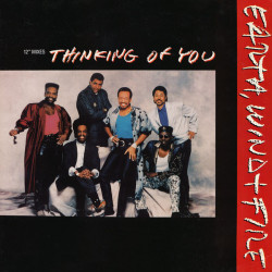 Earth Wind & Fire - Thinking Of You (12" Version / 7" Version / House Mix / House Vocal) SEALED 12" Vinyl Record