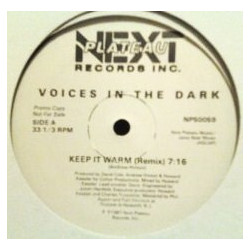 Voices In The Dark - Keep It Warm (Remix / Radio Edit / Instradub) 12" Vinyl Promo