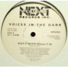 Voices In The Dark - Keep It Warm (Remix / Radio Edit / Instradub) 12" Vinyl Promo