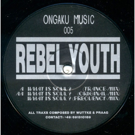Rebel Youth - What Is Soul (Trance Mix / Original Mix / Frequency Mix) 12" Vinyl Record