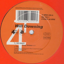 Will Downing - I Go Crazy (Long Version / Radio Version) / I'll Wait  (12" Vinyl Promo) Cover of Paul Davis Classic