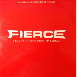 Fierce - Right Here Right Now (K Gees Dope Beats Mix / Seanie B Ragga Tip) 12" Vinyl Promo