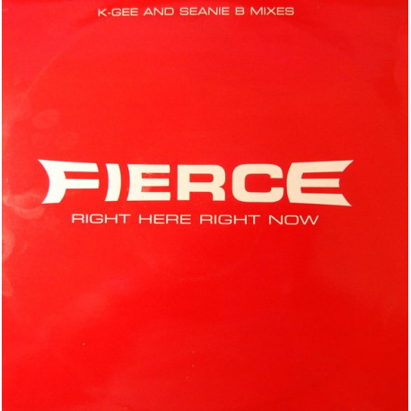 Fierce - Right Here Right Now (K Gees Dope Beats Mix / Seanie B Ragga Tip) 12" Vinyl Promo