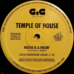 Temple Of House - House Is A Feelin (3 Club 69 Mixes / 2 Original Mixes) 12" Vinyl Double Pack