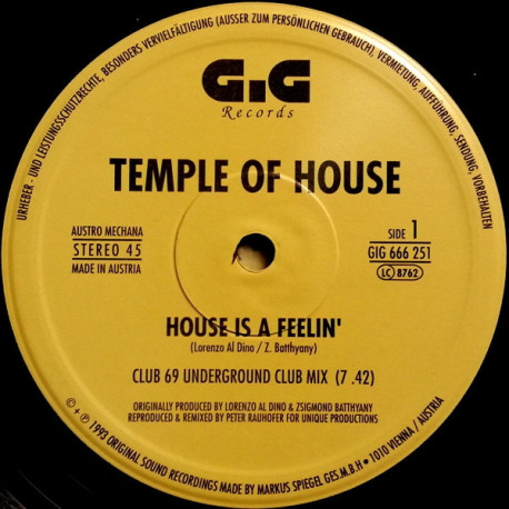 Temple Of House - House Is A Feelin (3 Club 69 Mixes / 2 Original Mixes) 12" Vinyl Double Pack