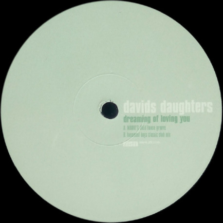 Davids Daughters - Dreaming Of Loving You (MARKS Solid House Groove / Basement Boys Classic Mix) Vinyl Promo