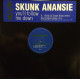 Skunk Anansie - Youll Follow Me Down (Rollo & Sister Bliss Remix / Golden Ashes Mix) 12" Vinyl Promo