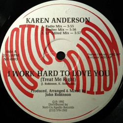 Karen Anderson - Work Hard To Love You (Shelter Mix / Radio Mix / Edit / Acappella / Instrumental) 12" Vinyl
