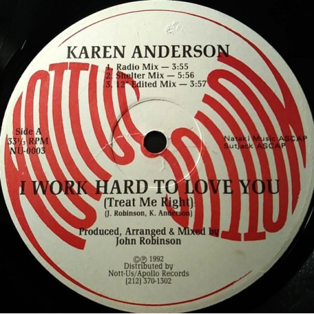 Karen Anderson - Work Hard To Love You (Shelter Mix / Radio Mix / Edit / Acappella / Instrumental) 12" Vinyl