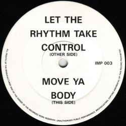 DJ Seduction – Let The Rhythm Take Control / Move Ya Body (12" Vinyl Record)