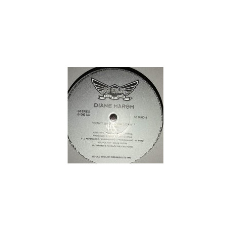 Diane Marsh - Dont Give Up On Lovin (Original / Edit / Xtra Mix) Andy Madhatter Mixes