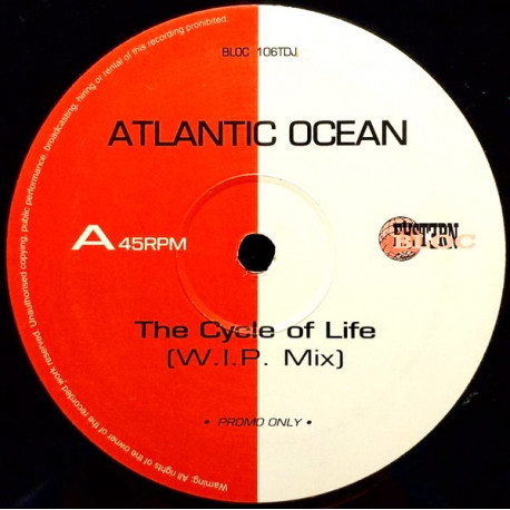 Atlantic Ocean - The Cycle Of Life (W.I.P Mix / Klubbheads Mix / Hole In One Mix) 12" Vinyl Record
