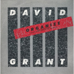 David Grant - Wrap Yourself Around Me / Organize (Extended Remix) / Kiss Away The Blues
