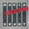 David Grant - Wrap Yourself Around Me / Organize (Extended Remix) / Kiss Away The Blues