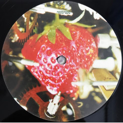 Neotropic - Mr Brubakers Strawberry Alarm Clock 2LP (16 Track Double Vinyl)