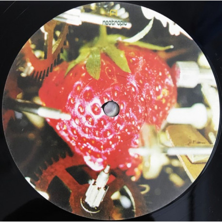 Neotropic - Mr Brubakers Strawberry Alarm Clock 2LP (16 Track Double Vinyl)
