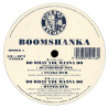 Boomshanka - Do What You Wanna Do (Blemished Mix / Snake Dub / Hyper Dub) 12" Vinyl Record