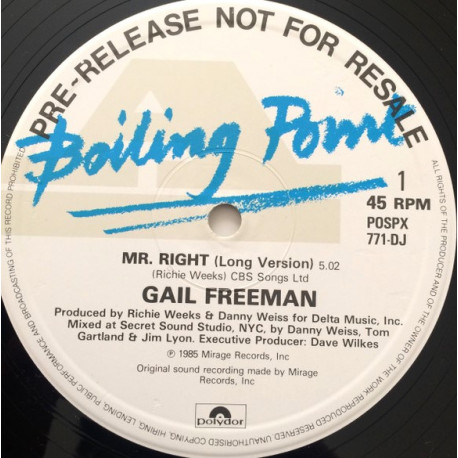 Gail Freeman - Mr Right (Long Version / Dub / Extra Break) 12" Vinyl Promo
