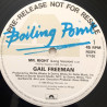 Gail Freeman - Mr Right (Long Version / Dub / Extra Break) 12" Vinyl Promo